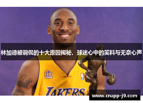 林加德被调侃的十大原因揭秘，球迷心中的笑料与无奈心声