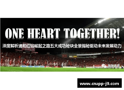 深度解析浦和红钻崛起之路五大成功秘诀全景揭秘驱动未来发展动力