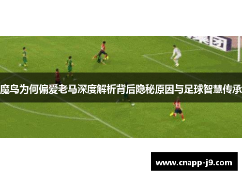 魔鸟为何偏爱老马深度解析背后隐秘原因与足球智慧传承 魔鸟为何偏爱老马深度解析背后隐秘原因与足球智慧传承